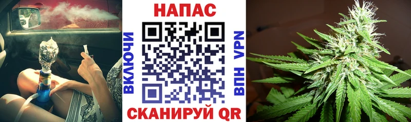 Бошки Шишки семена Навашино