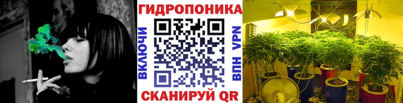купить наркотики цена  Навашино  Бошки Шишки Bruce Banner 